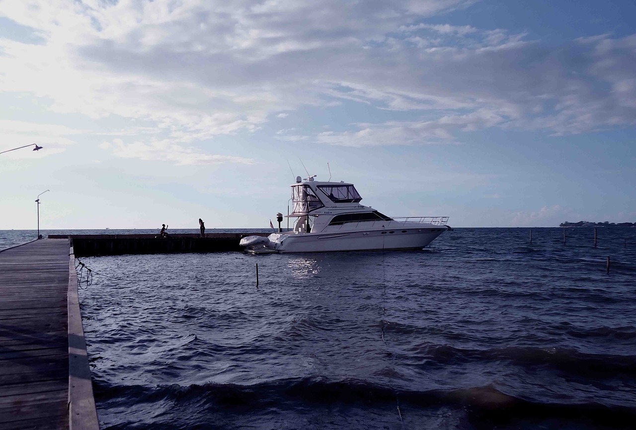 ship cruise boat free photo