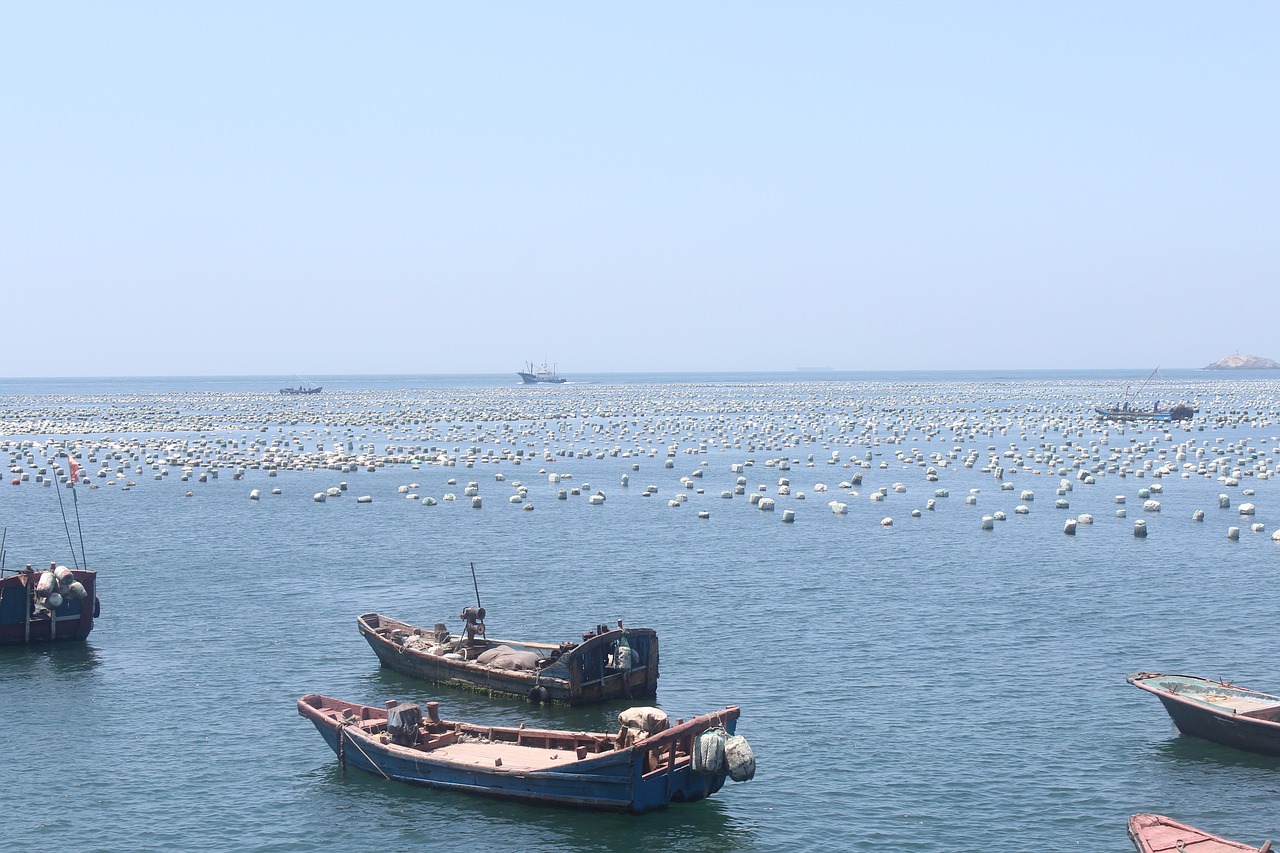 ship boat sea free photo