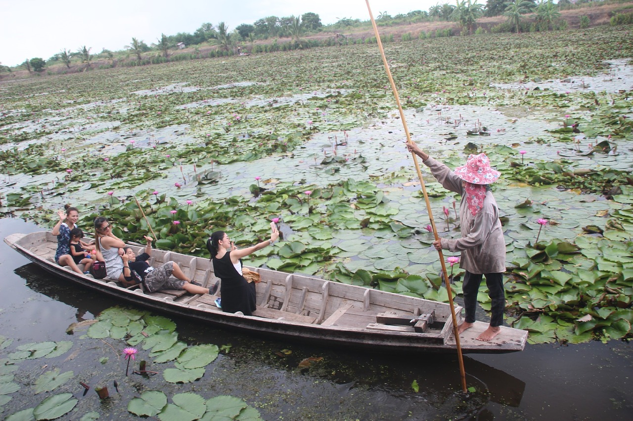 ship thung bua daeng lotus free photo