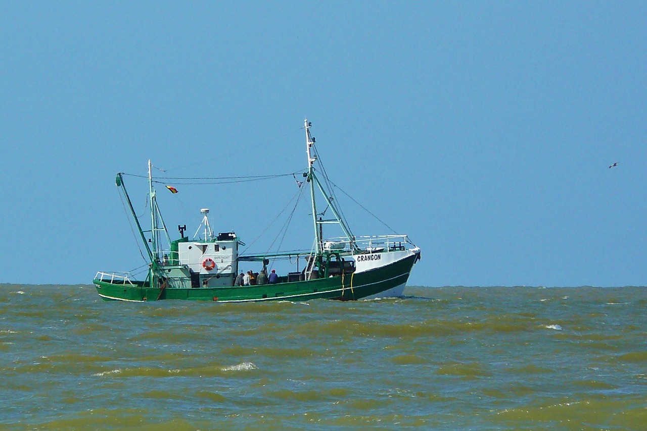 ship ships boot free photo