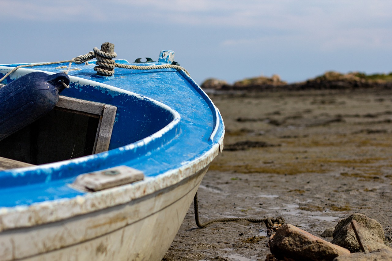 ship  wreck  boat free photo