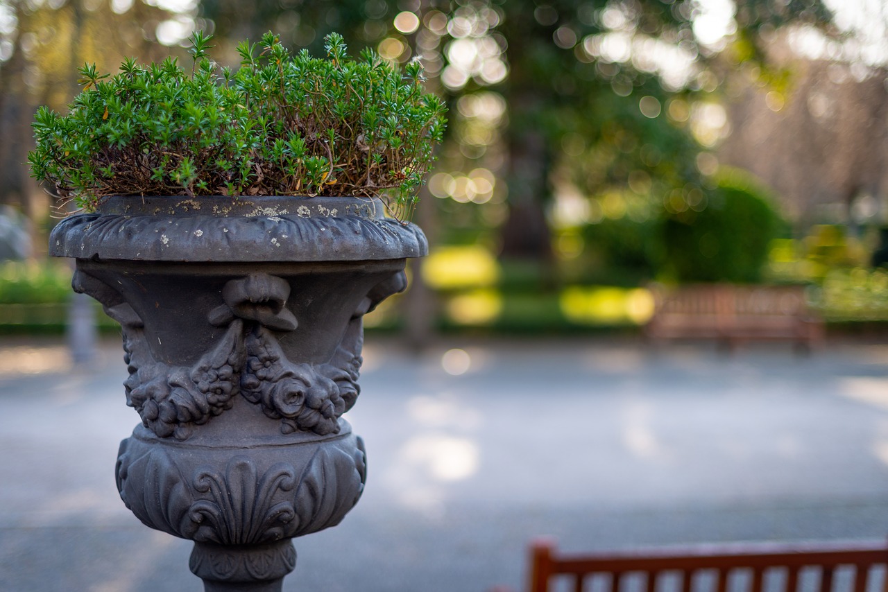 ship  plant pot  green free photo