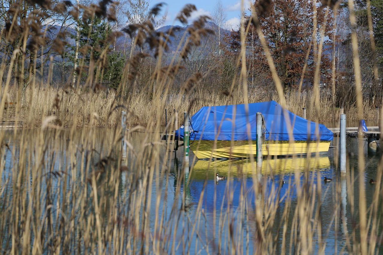 ship  lake  reed free photo