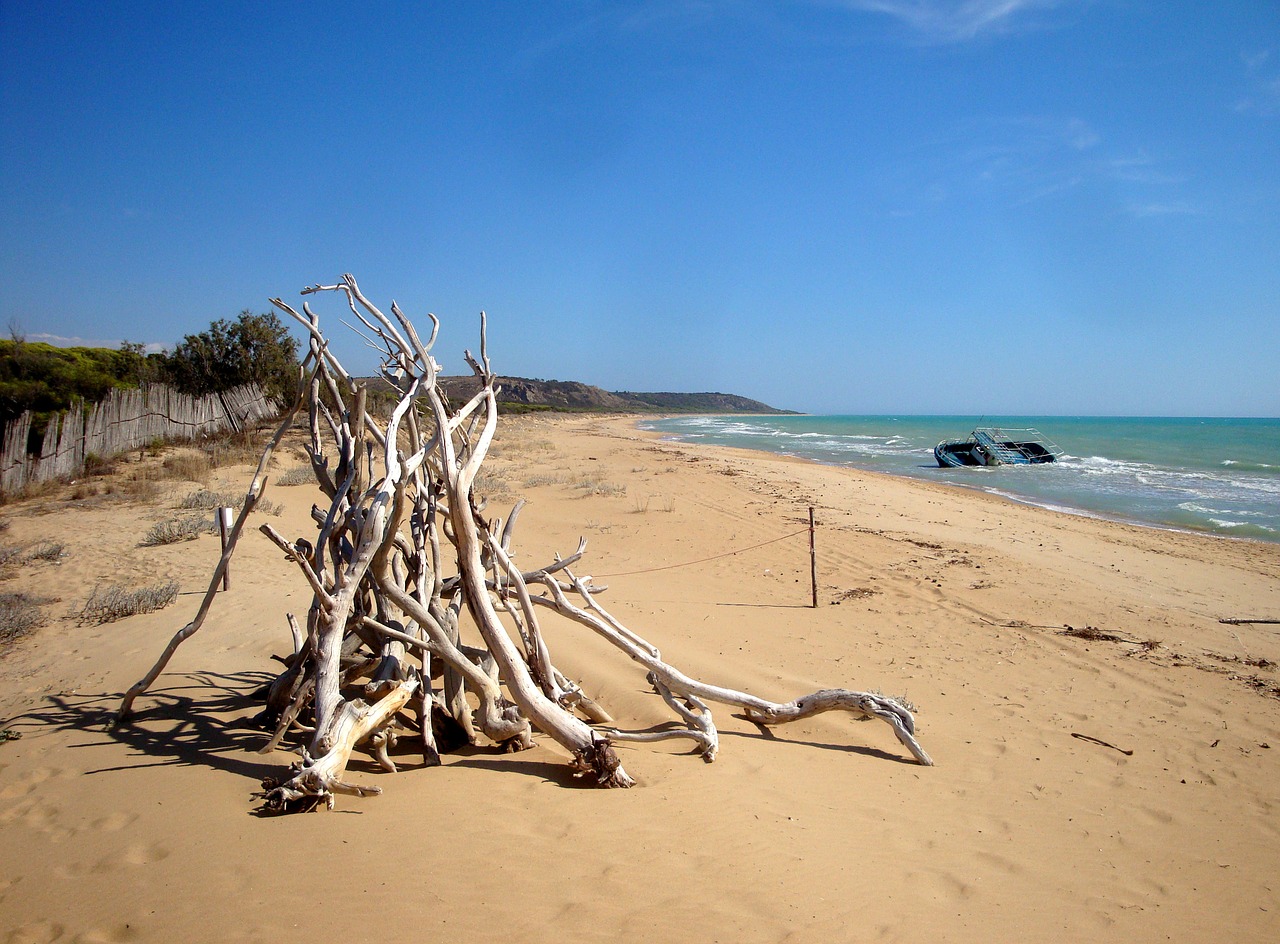 ship beach sea free photo