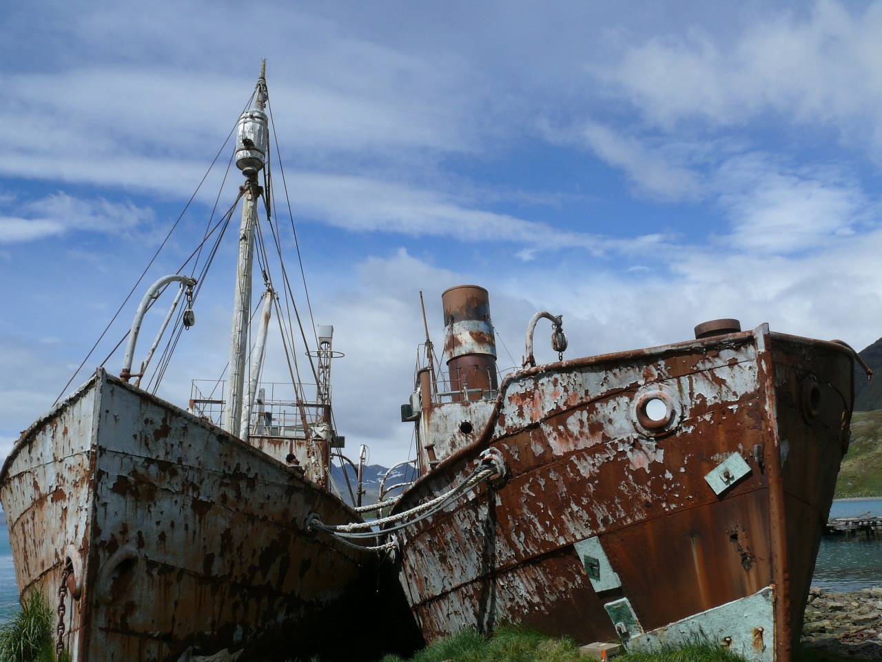 ship wreck southern ocean antarctica free photo