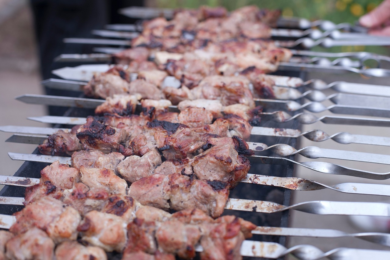 shish kebab barbecue meat free photo