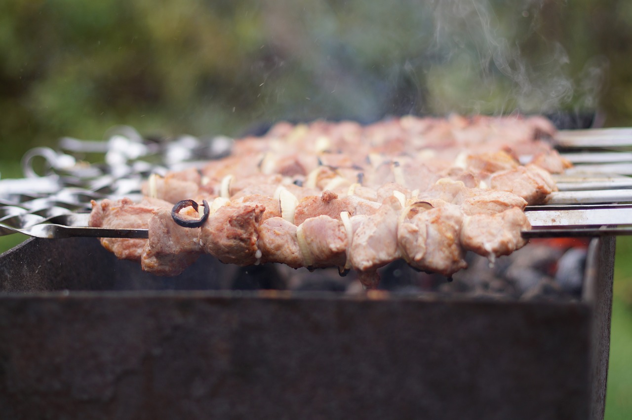 shish kebab meat picnic free photo