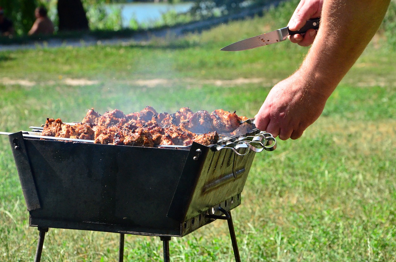 shish kebab tasty fried meat free photo