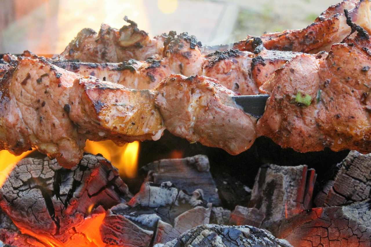 shish kebab fire coals free photo