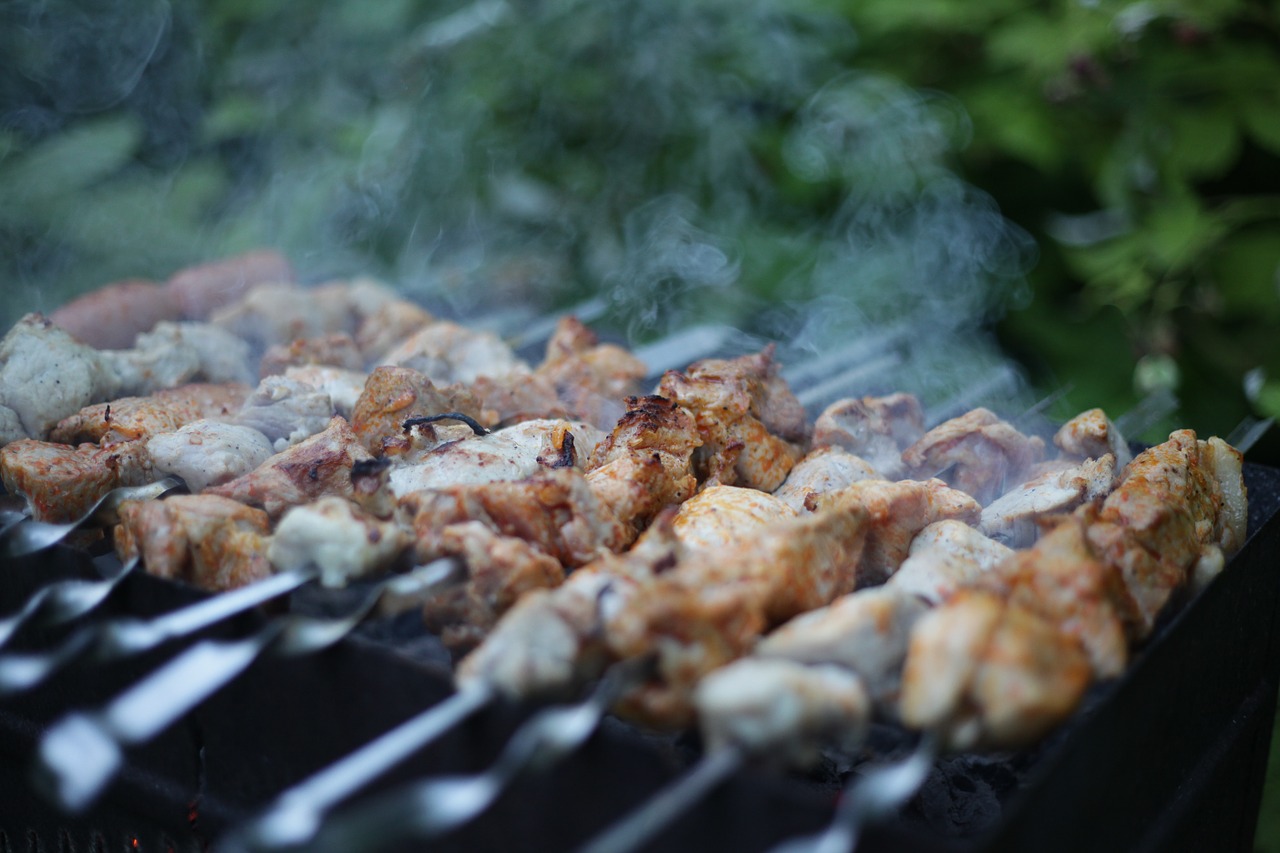shish kebab summer meat free photo