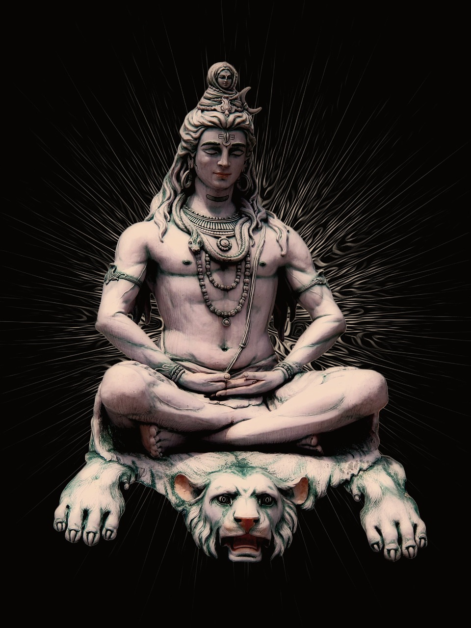 shiva the hindu god shiva india free photo