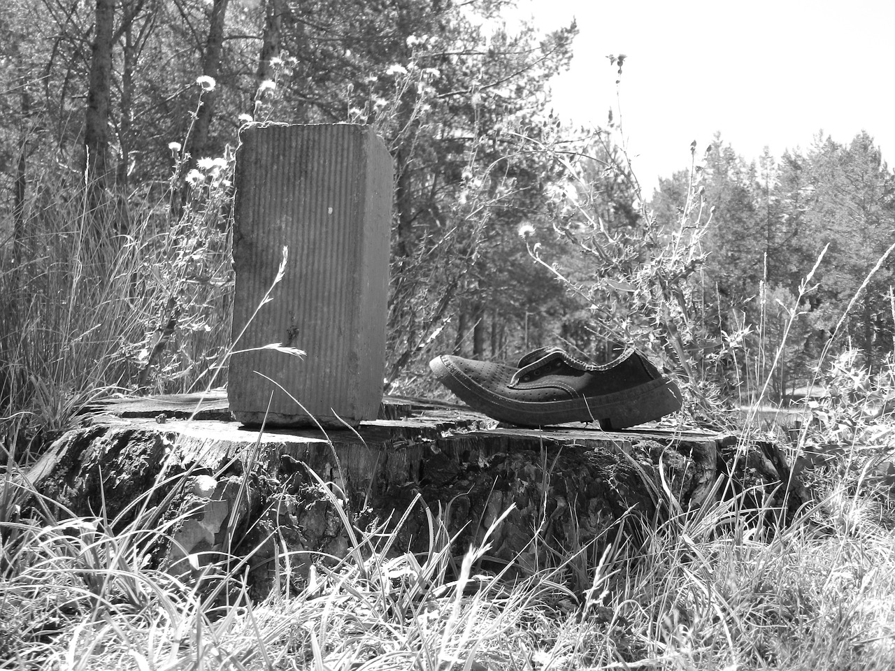 shoe brick black and white free photo