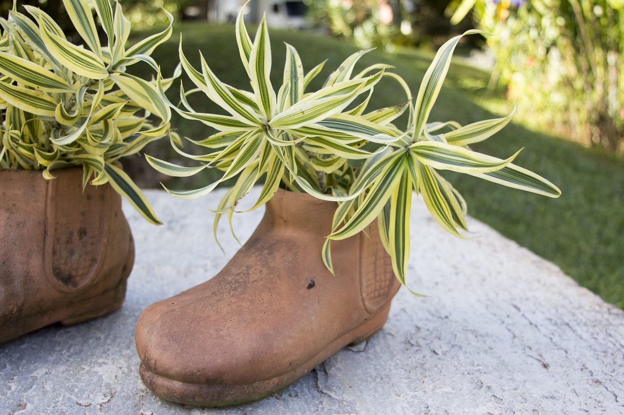 shoe clay jug free photo