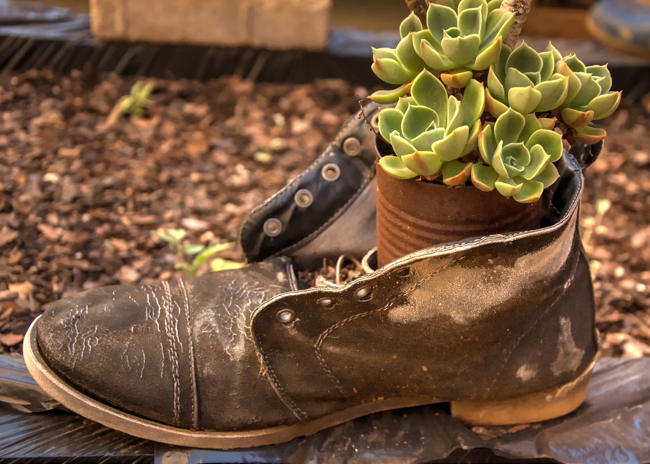 shoe container garden free photo