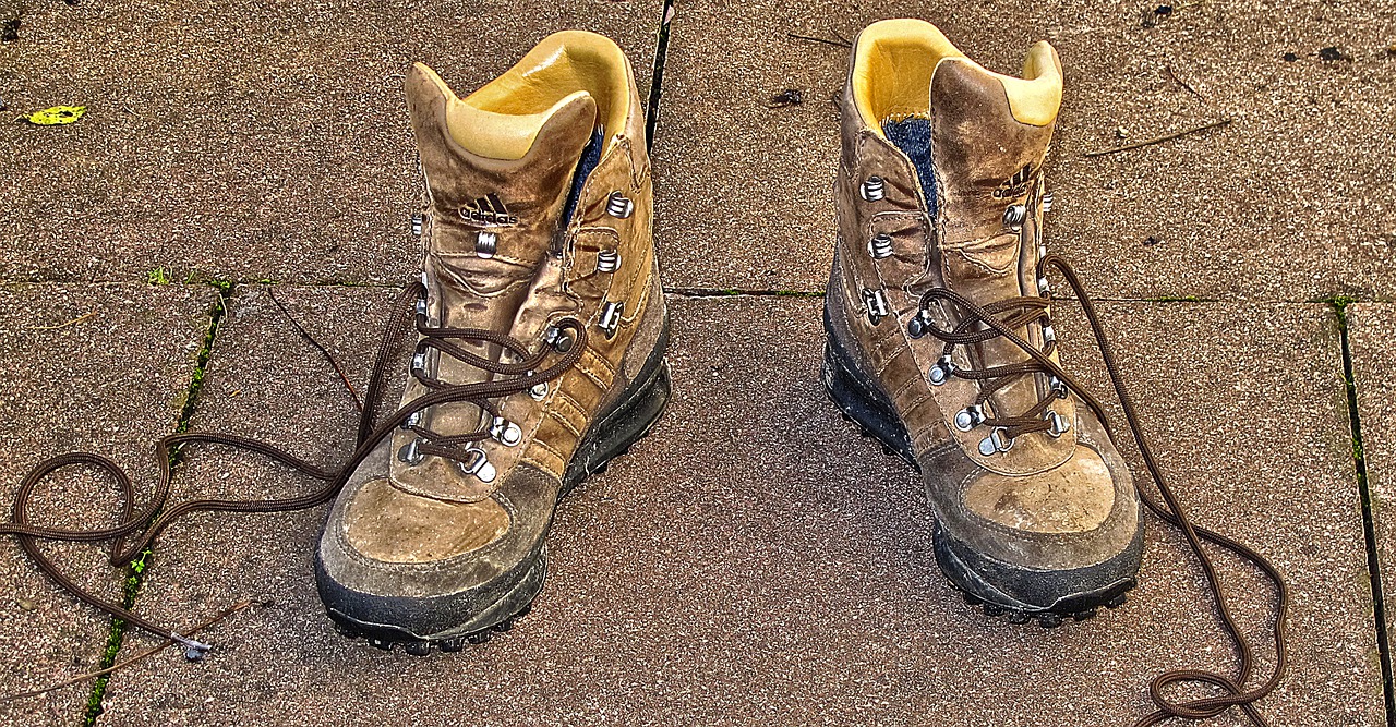 shoe hiking shoes shoelace free photo