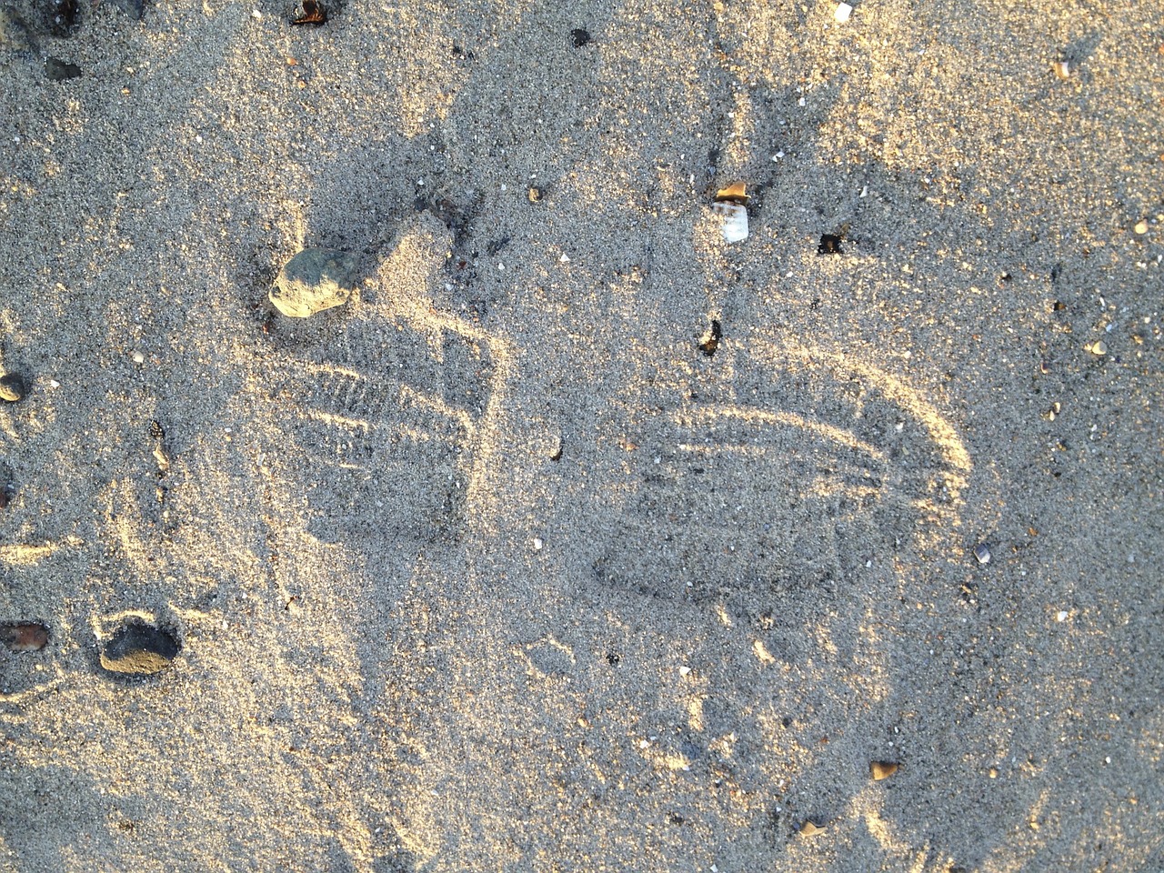 shoe footprint sand beach free photo