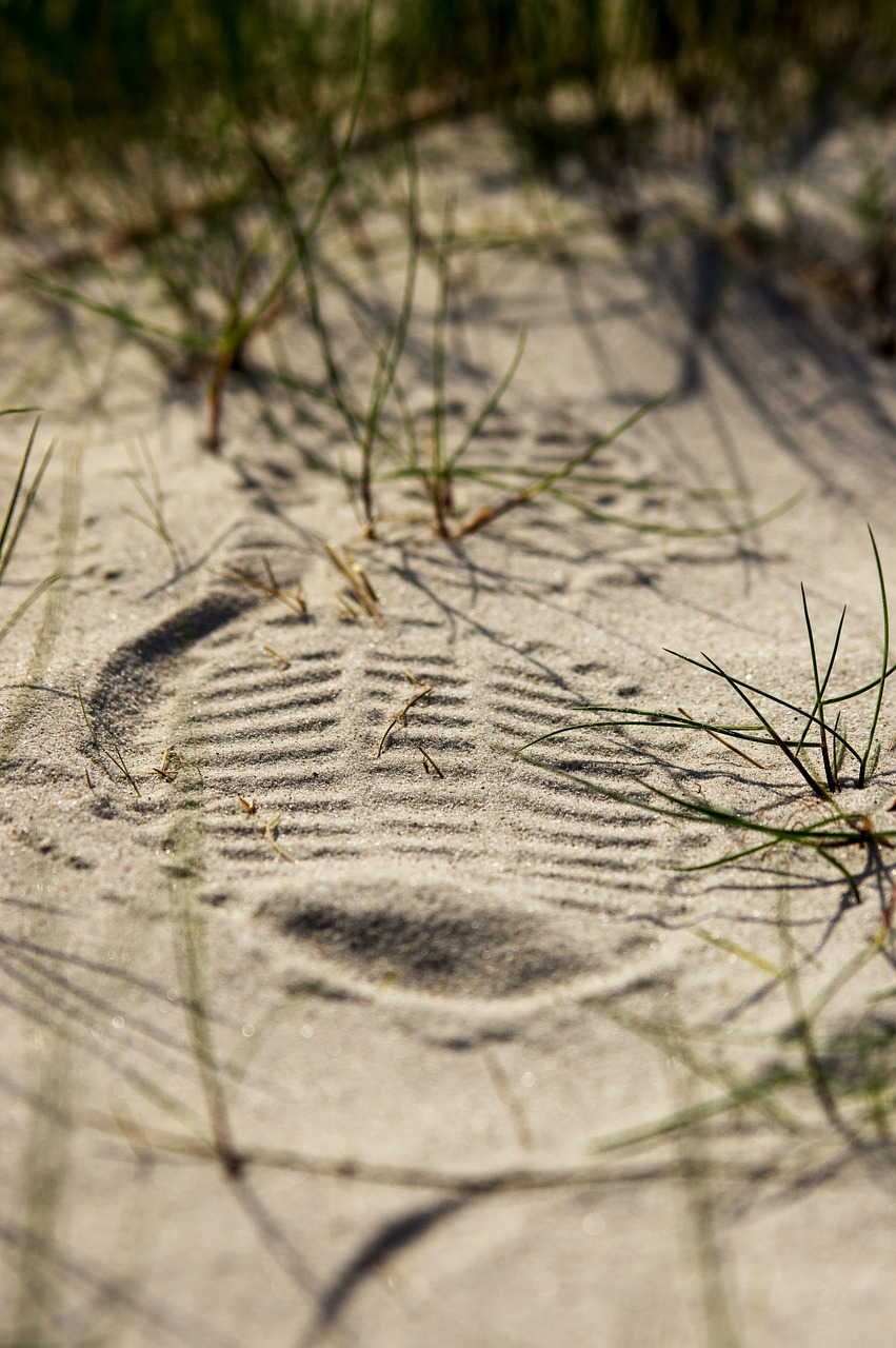 shoe print sand grass free photo