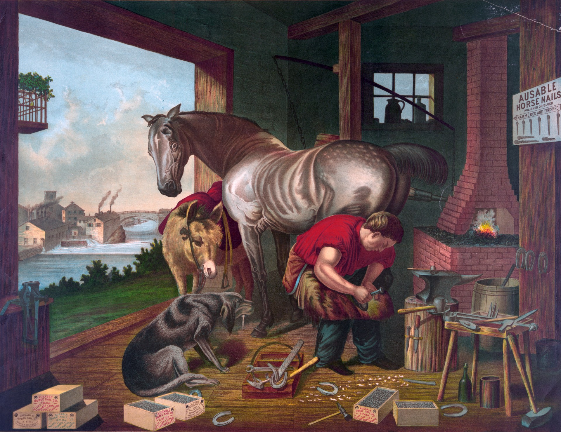 horse shoeing farrier free photo