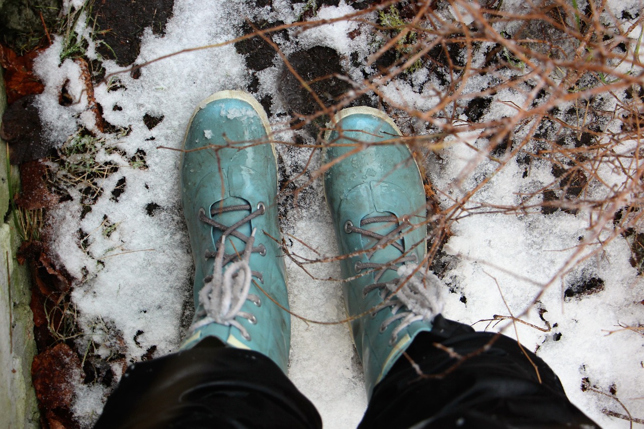 shoes snow winter free photo