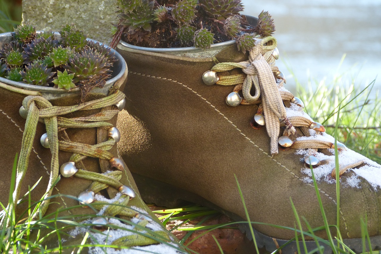 shoes planted decoration free photo