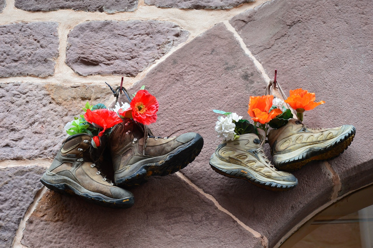 shoes hiking flower pot free photo