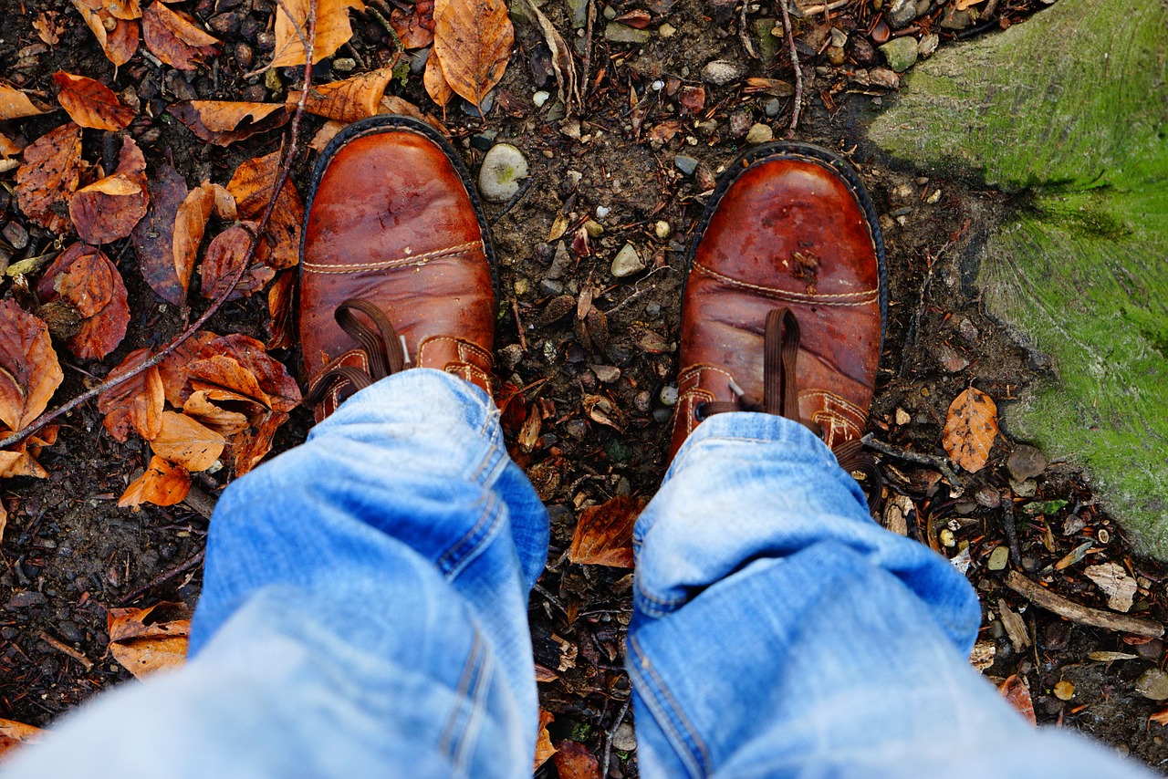 shoes brown leaves free photo