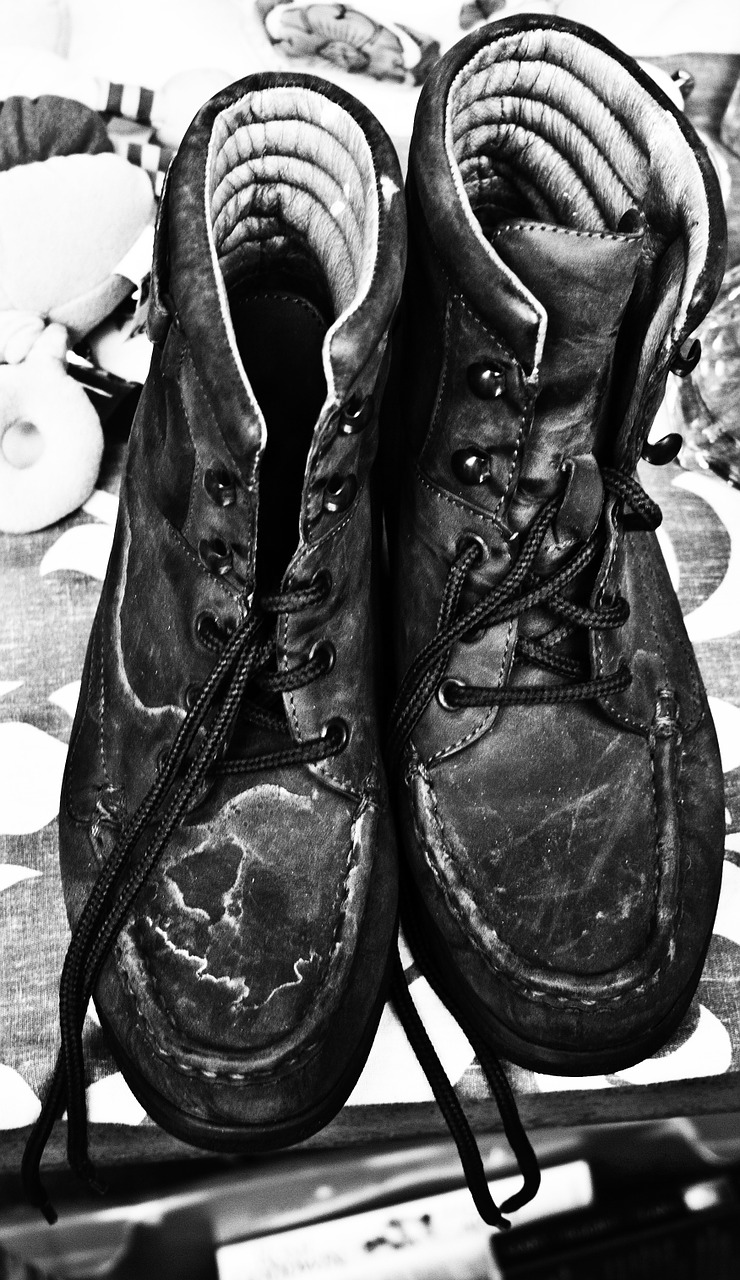 shoes shoe boots free photo