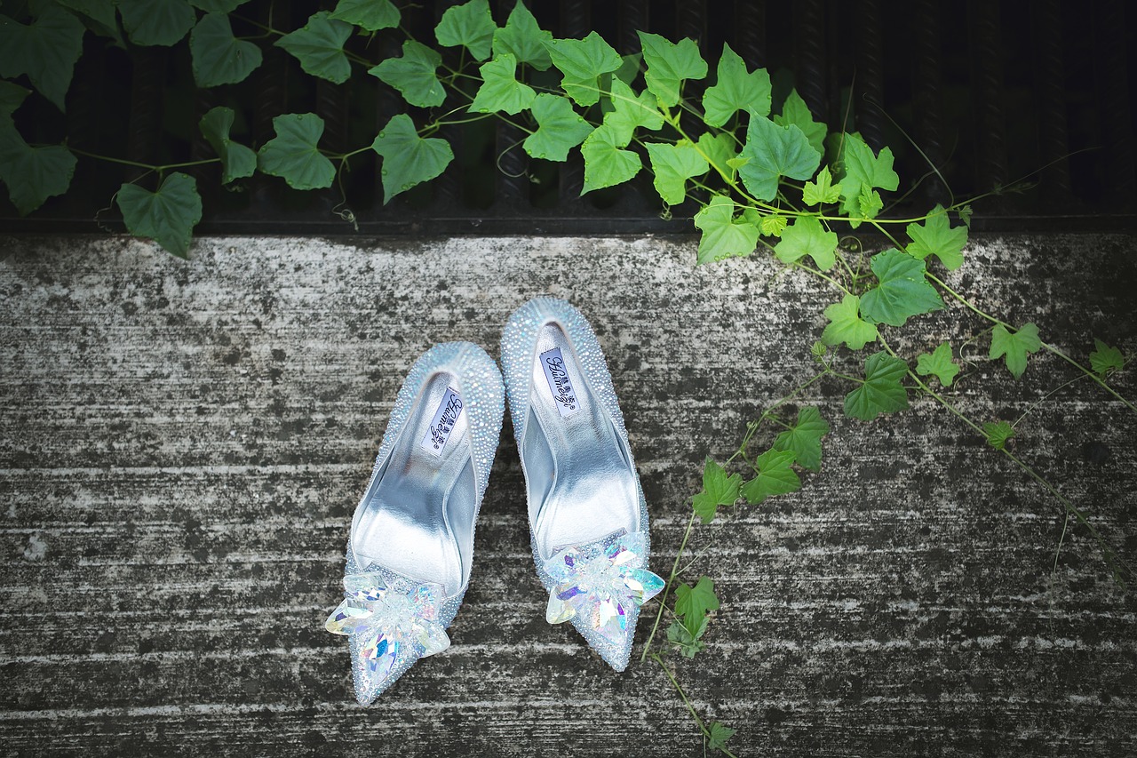 shoes high-heeled shoes wedding shoes free photo