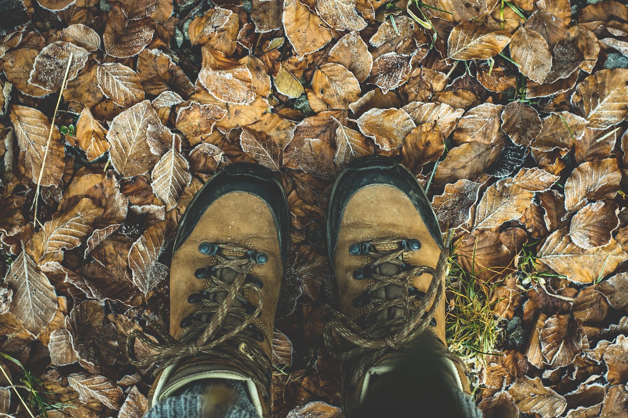 shoes hiking shoes hiking free photo