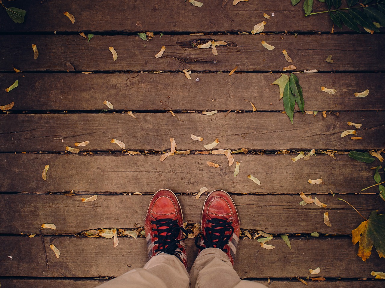 shoes laces wood free photo