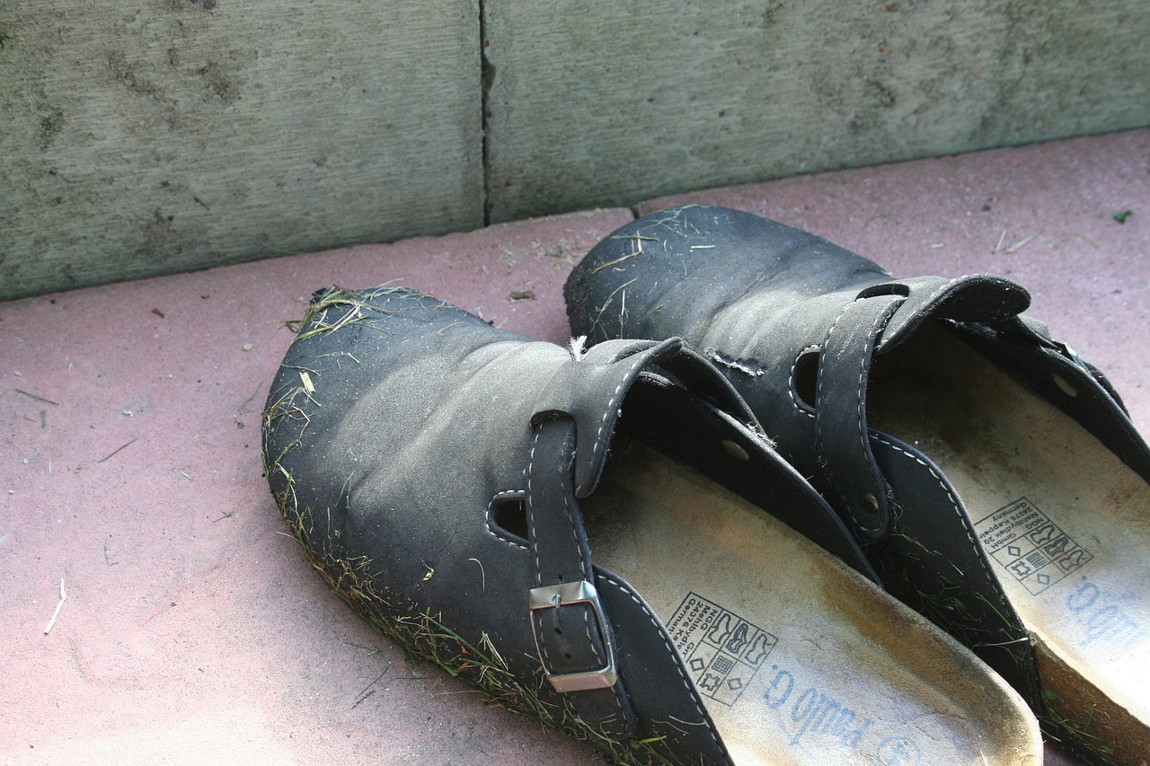 shoes garden shoes gardening free photo