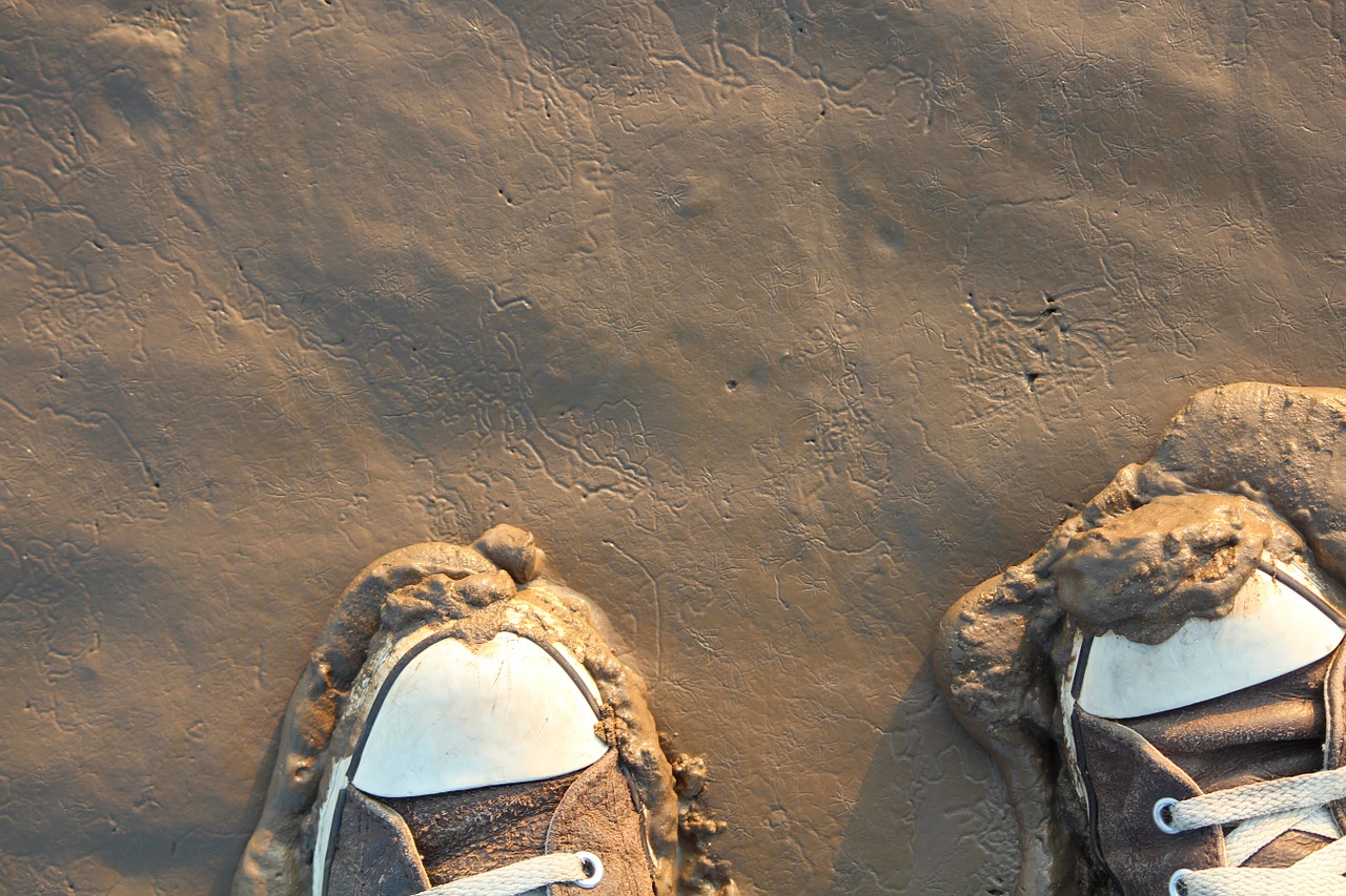 shoes watts wadden sea free photo