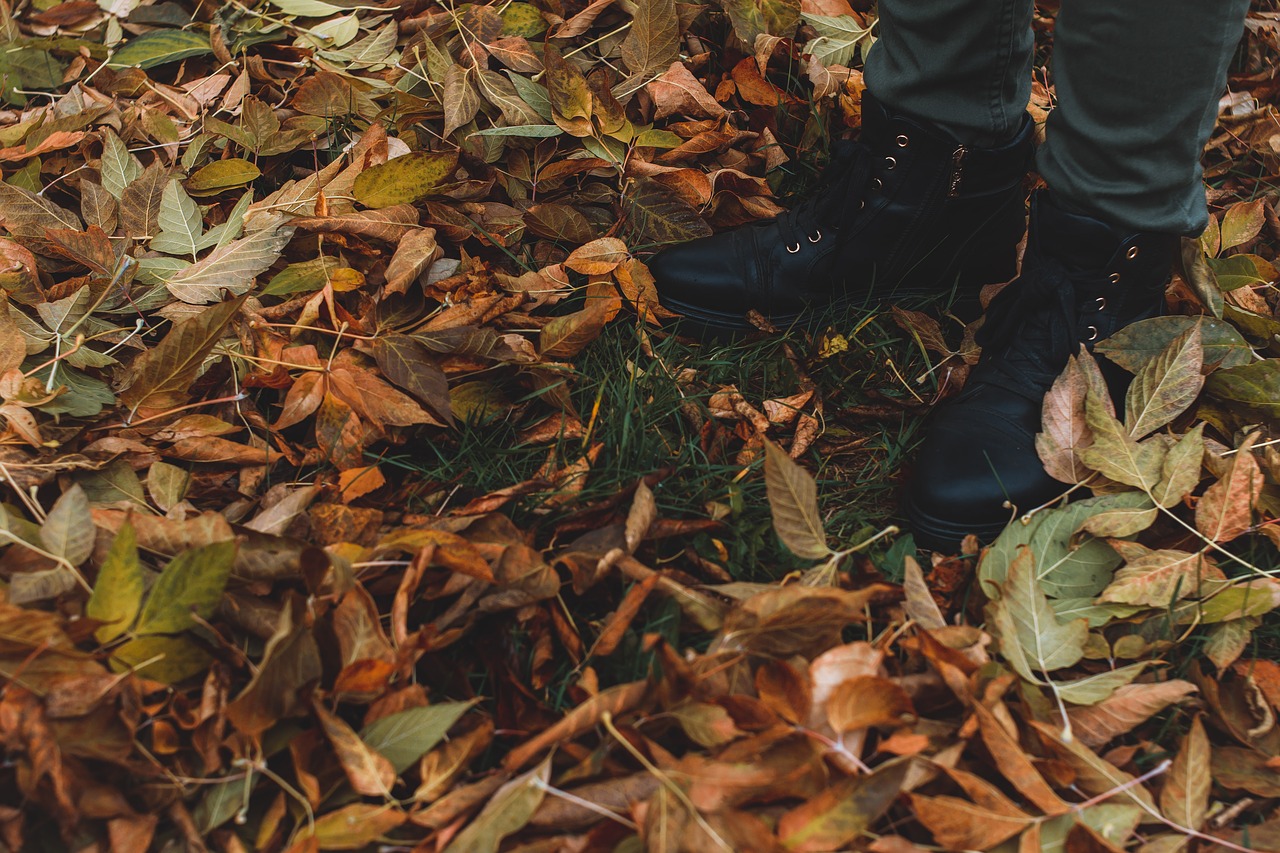 Осенние ботинки по листве