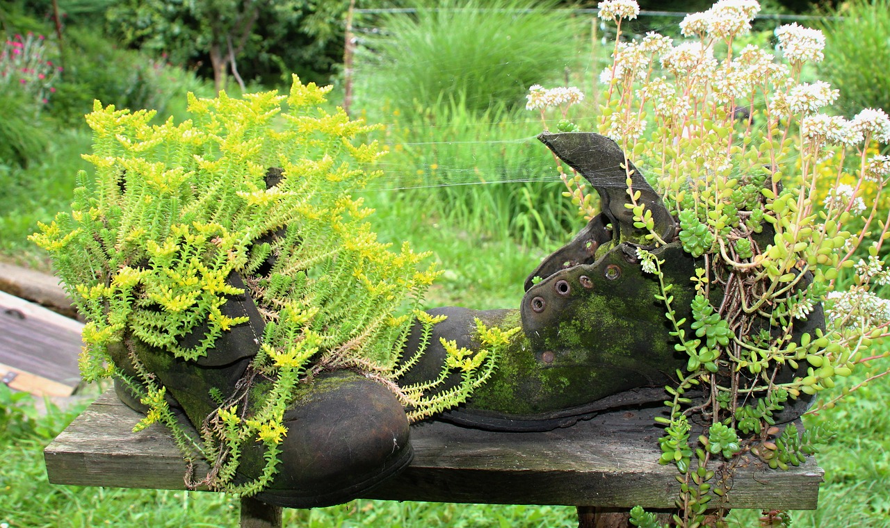 shoes  flowers  garden free photo