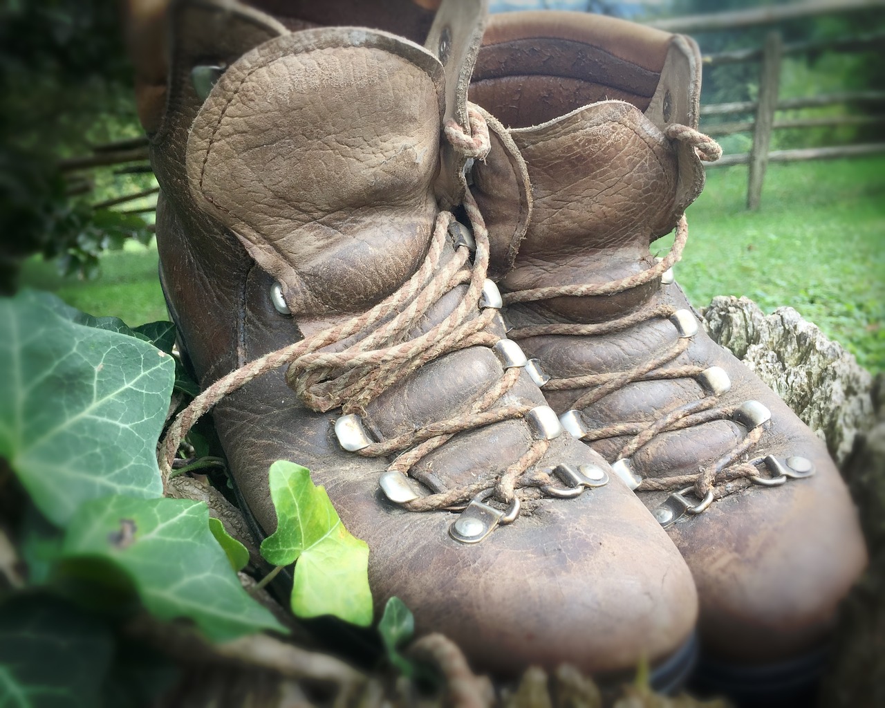 shoes  hiking  nature free photo