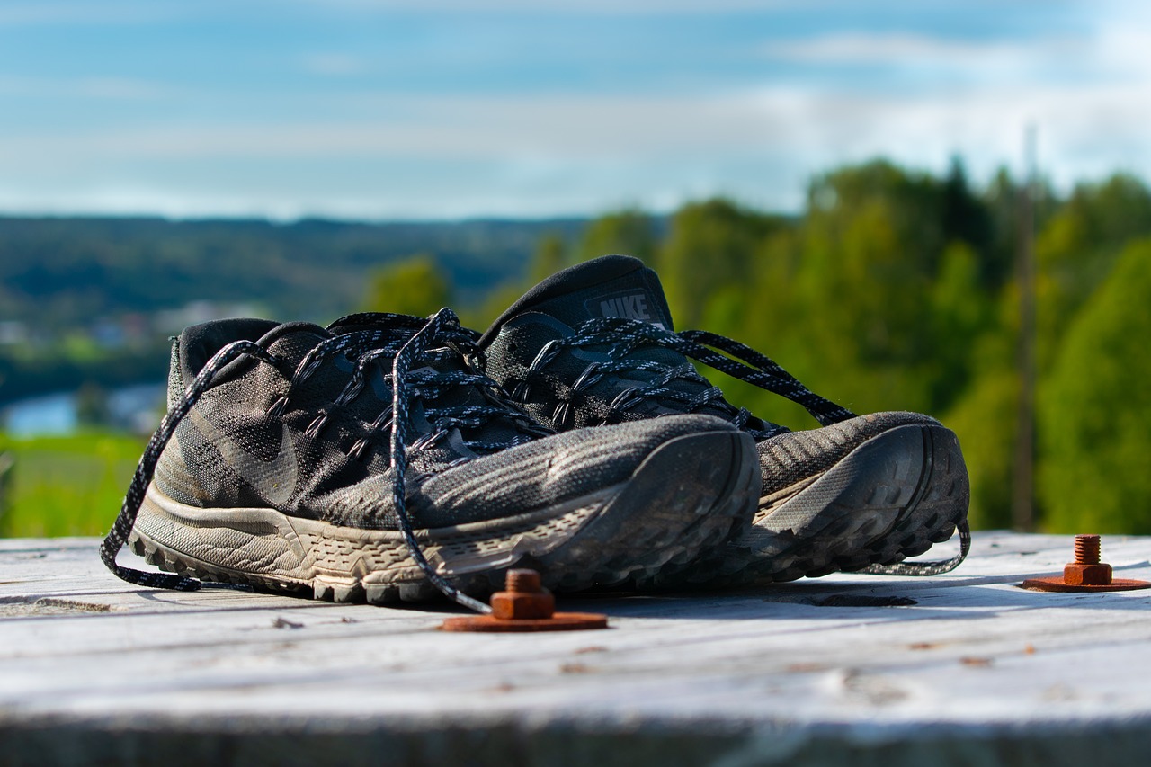 shoes  running  training free photo