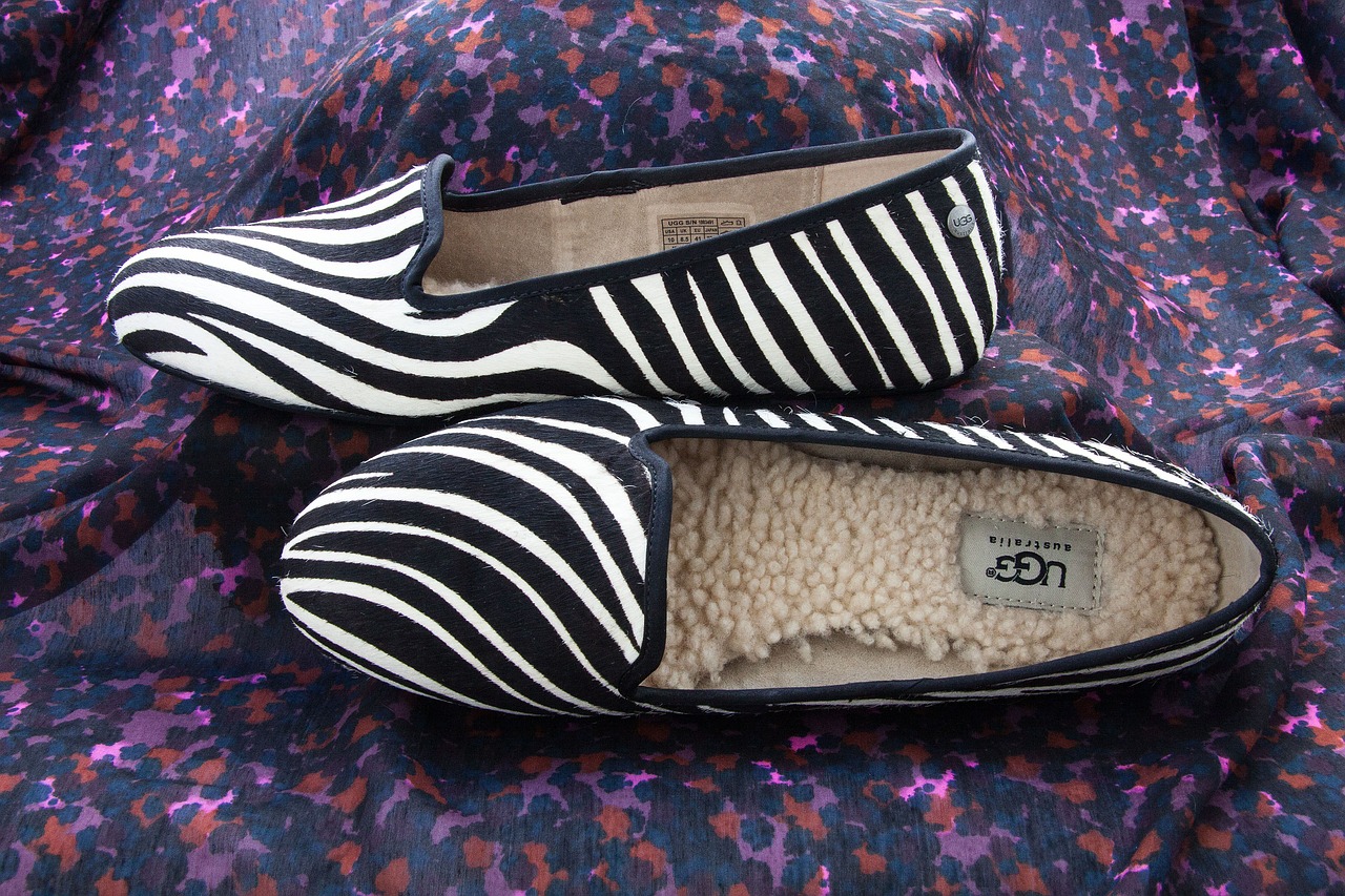 shoes slipper zebra pattern free photo