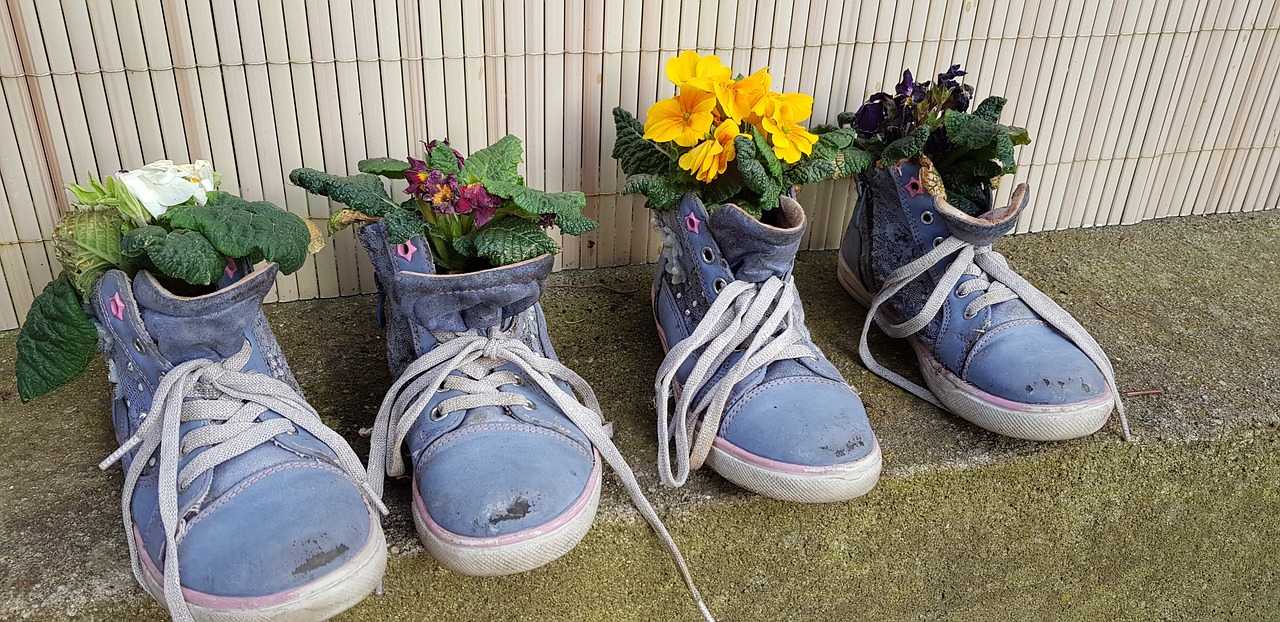 shoes  plant  flower free photo