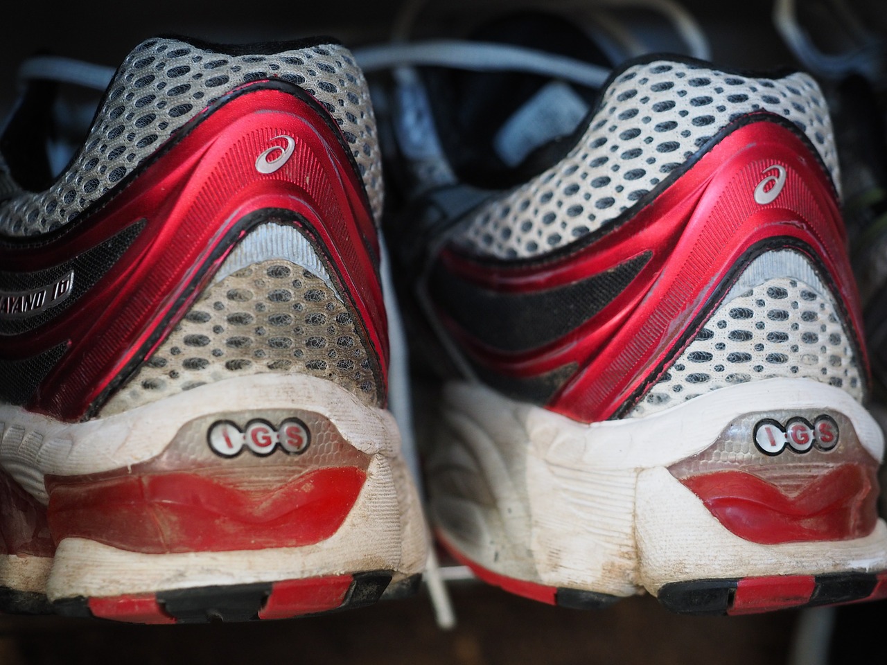 shoes shoe shelf running shoes free photo