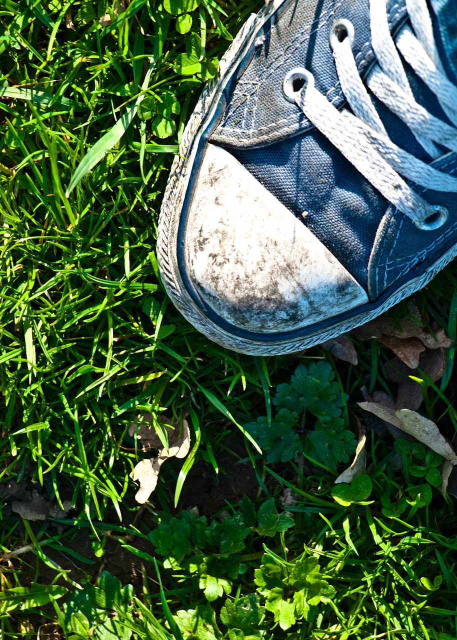 shoes grass summer free photo