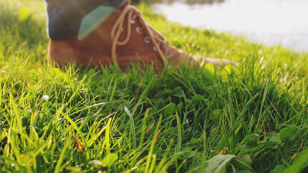 shoes grass ground free photo