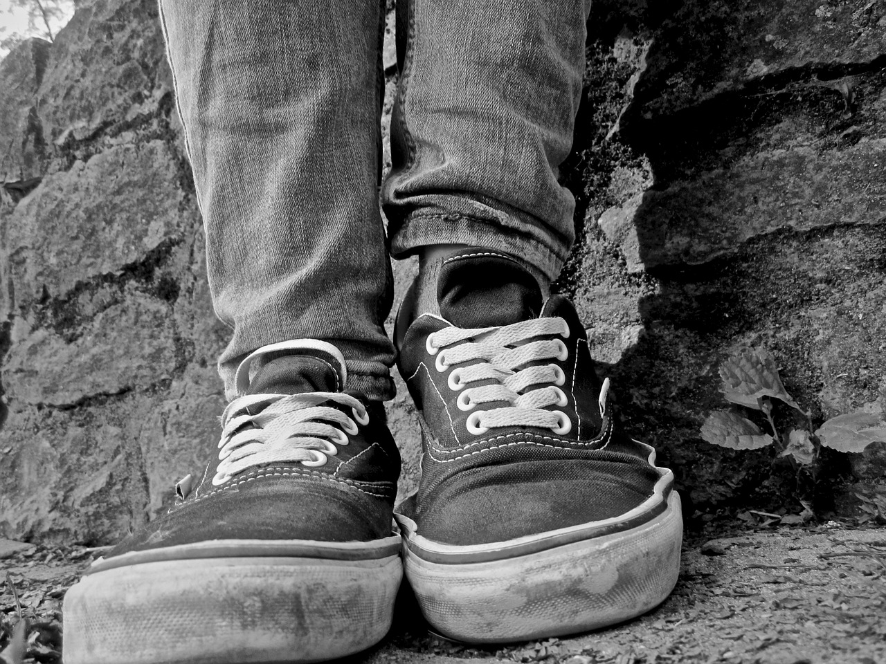 shoes sneakers sneaker free photo