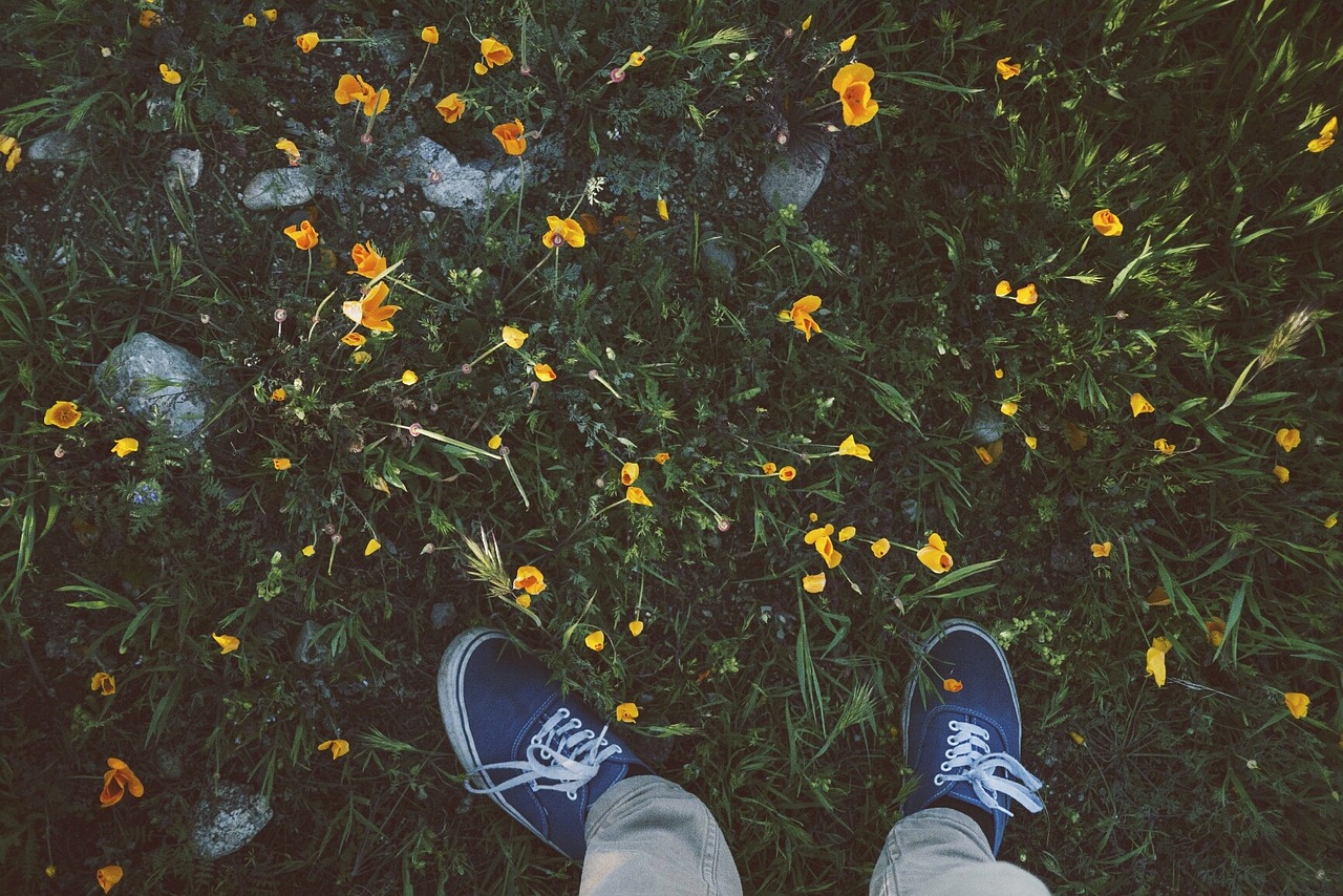 shoes sneakers grass free photo