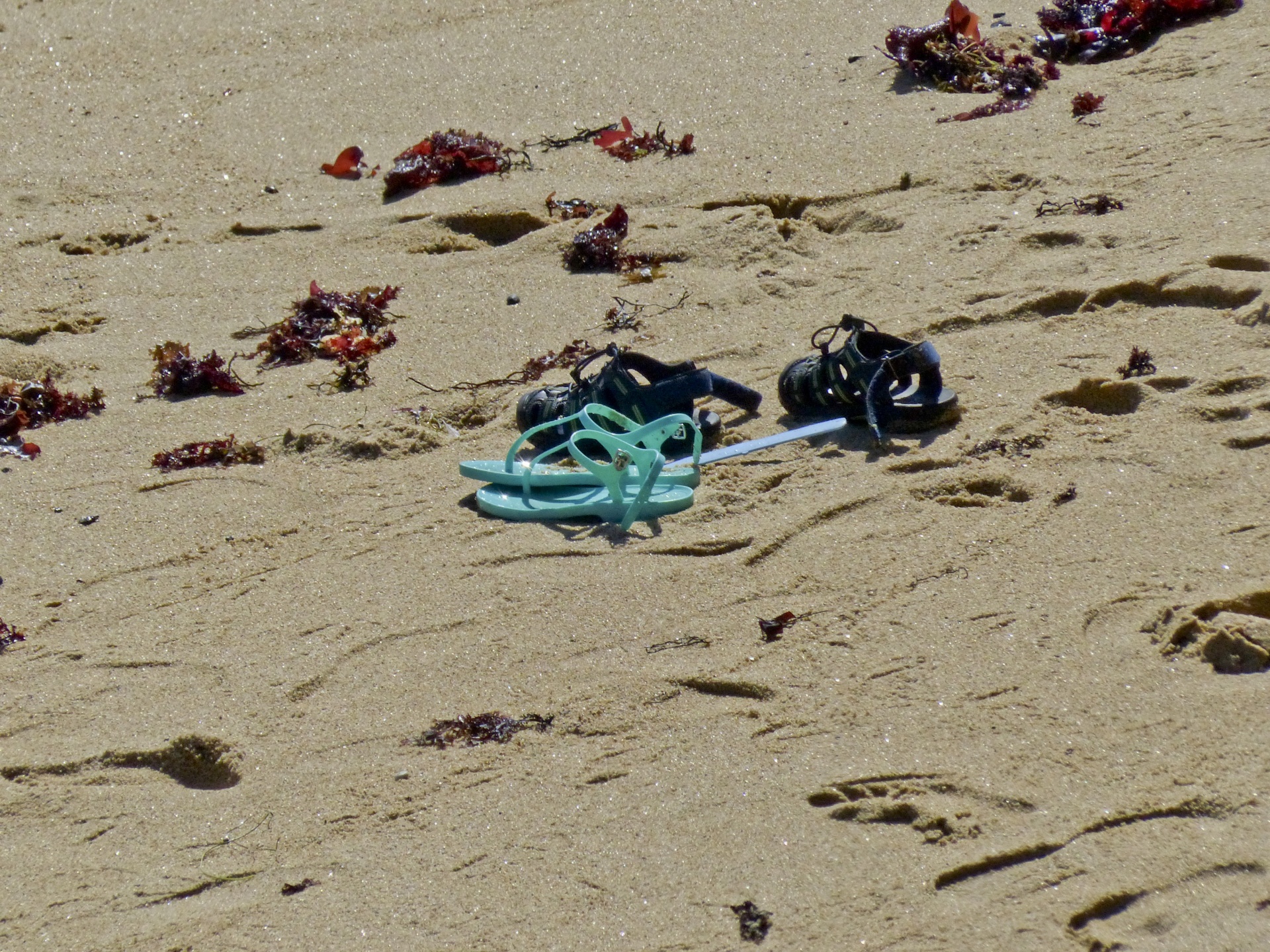 beach california shoes free photo