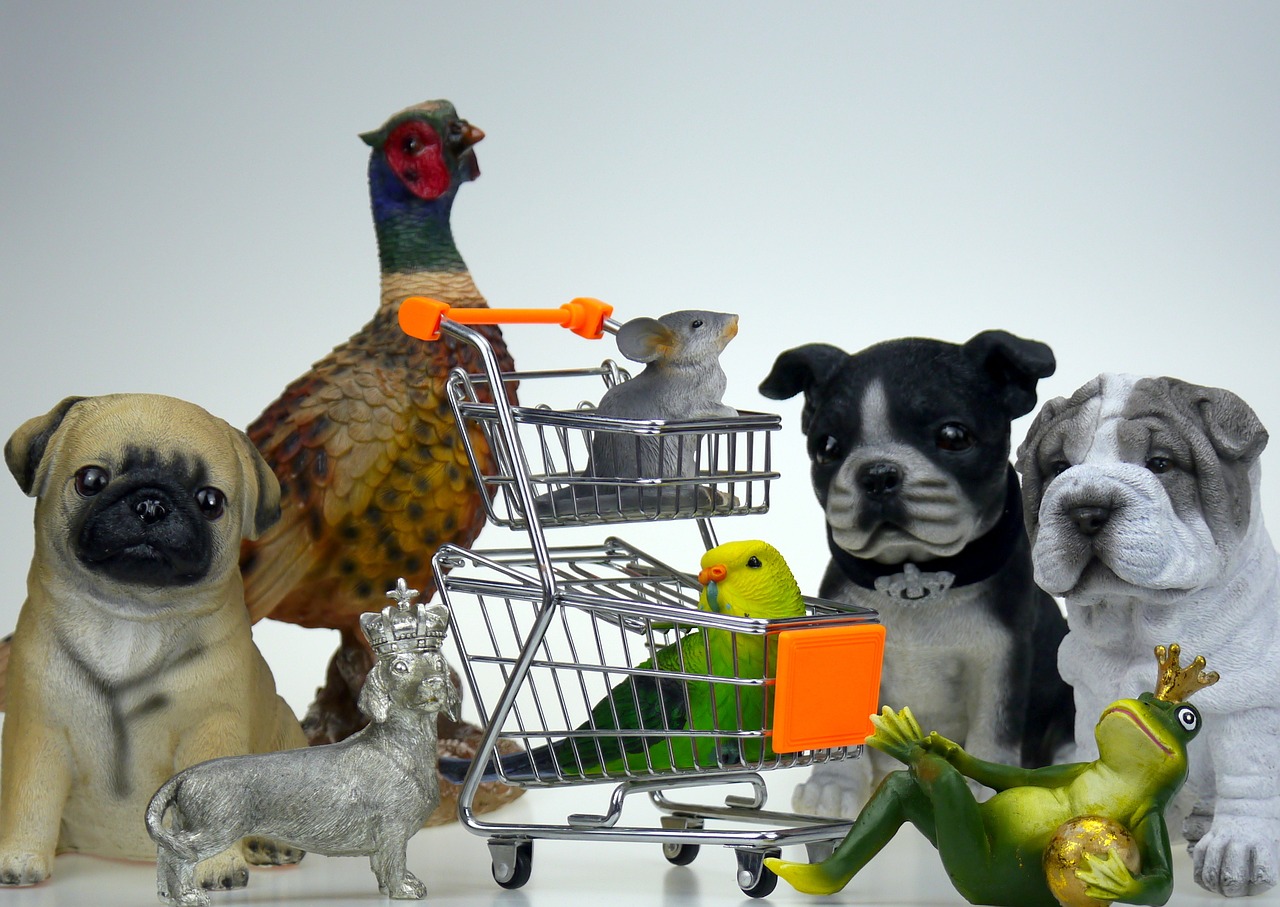 shopping shop pet food free photo