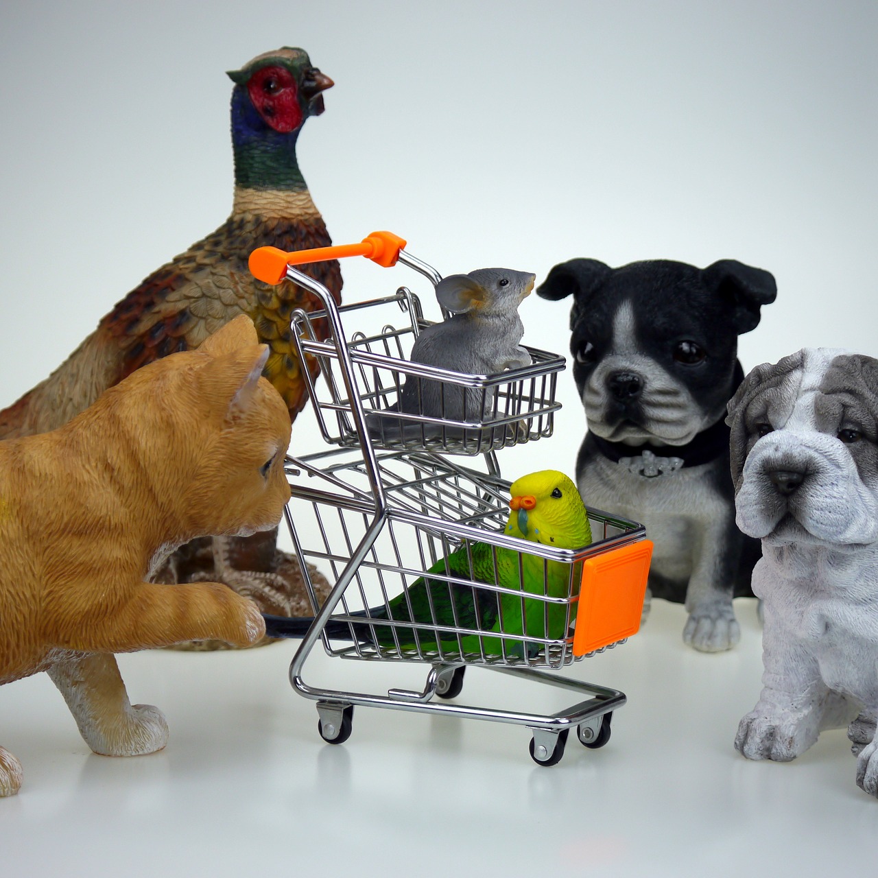 shopping shop animals free photo