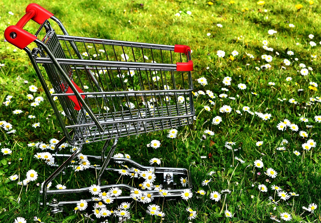 shopping shopping cart sale free photo