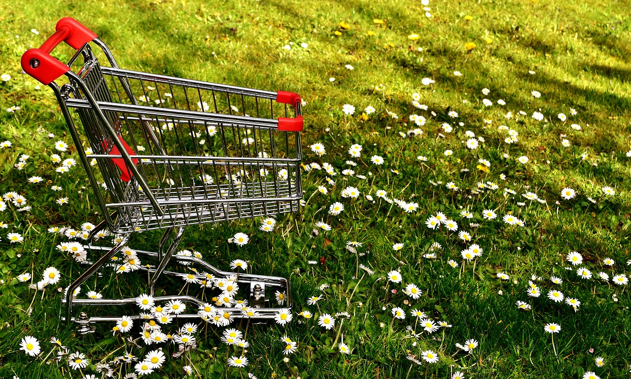 shopping shopping cart sale free photo