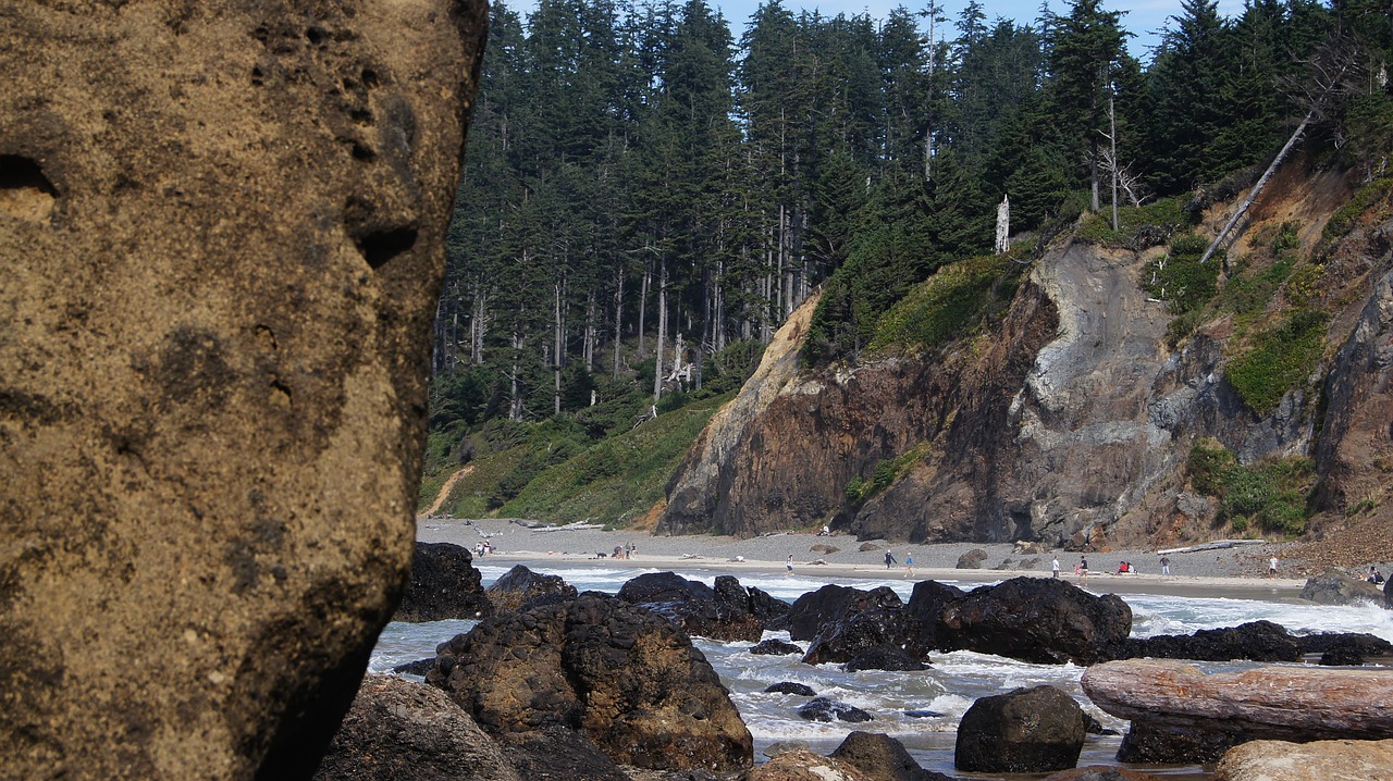 shore beach rocky free photo