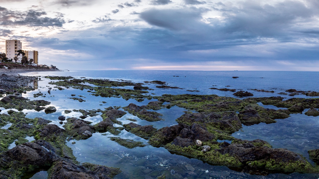 shore beach dawn free photo